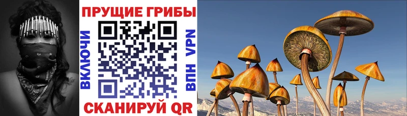 МЕГА вход  Бежецк  Галлюциногенные грибы MAGIC MUSHROOMS 